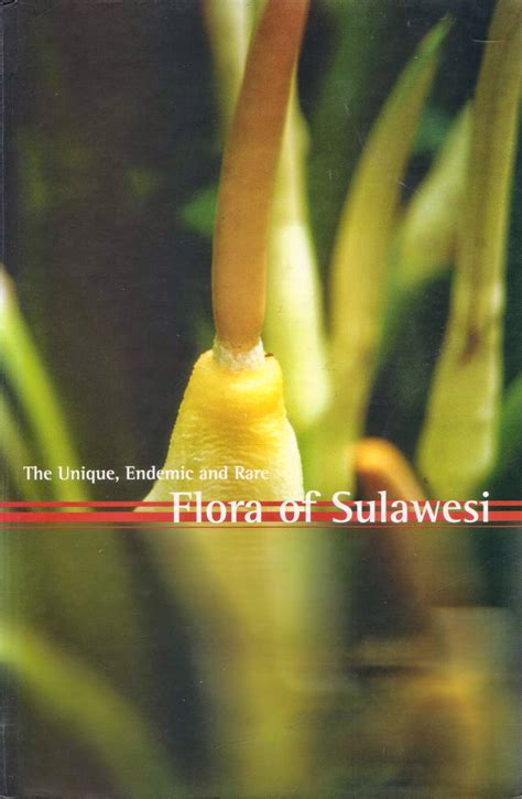 Flora Sulawesi by Syamsul Hidayat | Open Library - raincitystudios.com
