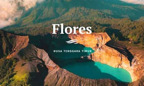 Flores Daerah Mana - balustradellc