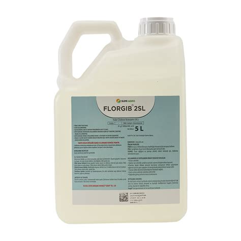 codini.rgarabwor.edu.pl. 