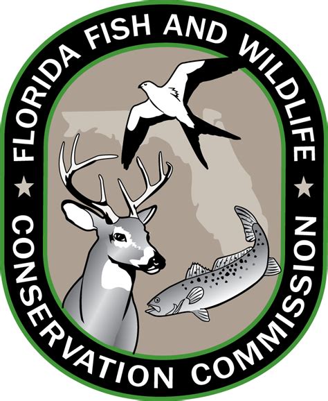 Florida Fish and Wildlife Conservation Commission | FWC - muktibox.com
