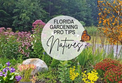 Florida Gardening Pro - raincitystudios.com
