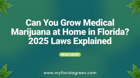 Florida Marijuana Laws 2025 - balustradellc