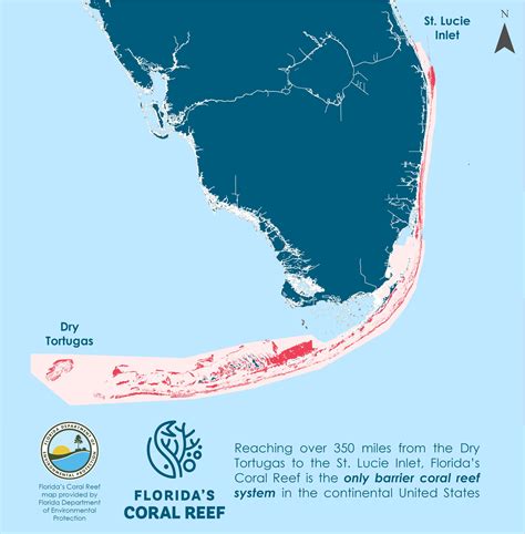 Florida Reef - wintechmobiles.com