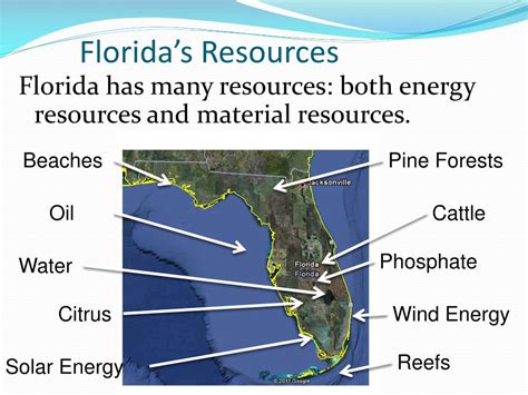Florida State Resources - American Association for … - wintechmobiles.com
