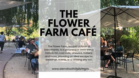 FLOWER FARM CAFE - 223 Photos & 219 Reviews - Yelp