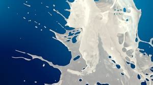 Fluid White Splash Liquid Reveal Transition Animation - muktibox.com