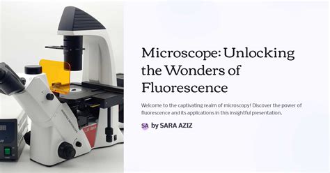 Fluorescence Microscope: Unlocking Cellular Insights - wintechmobiles.com