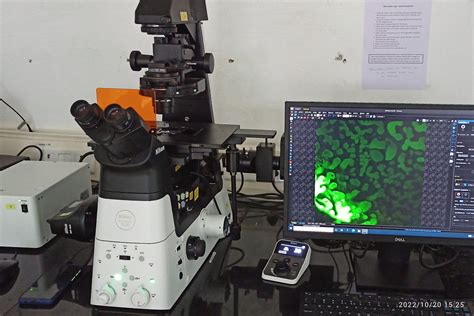 Fluorescent Microscopy - SERC - wintechmobiles.com
