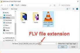 FLV File What It Is and How to Open One 
