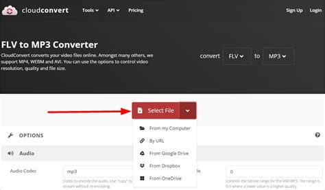 FLV to MP3 Converter FLV to MP3 CloudConvert. 