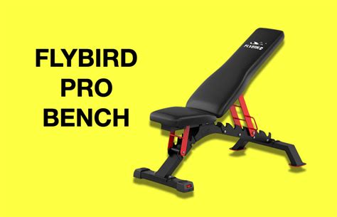 FLYBIRD - 55LB Adjustable Dumbbell, 5-in-1 Fast Adjust ... - Best Buy - balustradellc