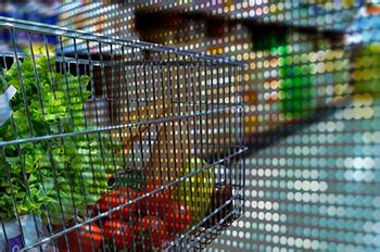 FMI and Nielsen Report: 70% of Consumers Will Be Grocery …