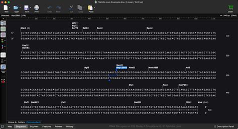 FNA File What It Is and How to Open One 