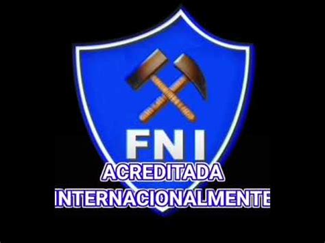 FNI - Wikipedia