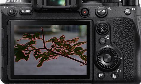 Focus Peaking for Beginners: How to Easily Get Sharp Shots - balustradellc