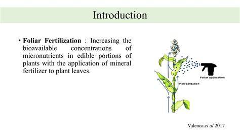 Foliar Fertilization - National Center for Appropriate Technology - raincitystudios.com