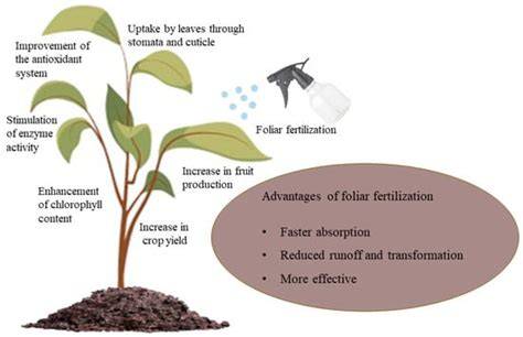 Foliar Nano‐Nitrogen Fertilizer Application for Enhancing Growth and ... - raincitystudios.com