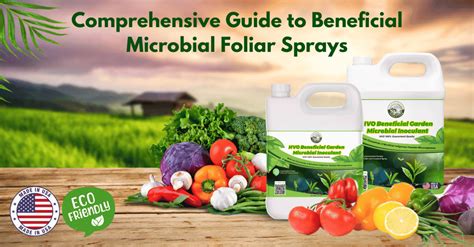 Foliar Sprays: A Comprehensive Guide for Gardeners - raincitystudios.com