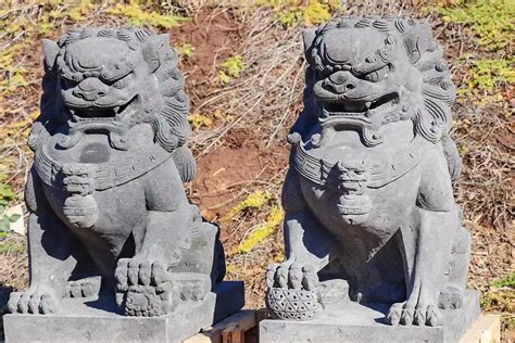Foo Dog Guardian Lions Volcanic Stone Sculptures … - balustradellc