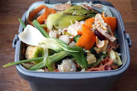 Food: Reduce Waste As A Family | Sustainability - raincitystudios.com