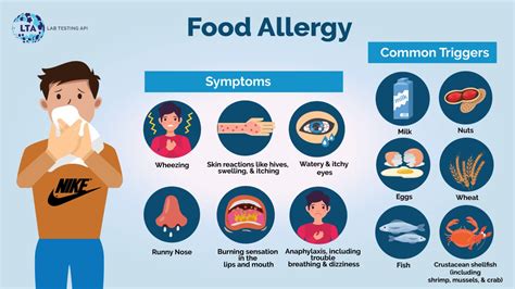 Food Allergies: Diagnosis, Treatment, and Prevention - balustradellc