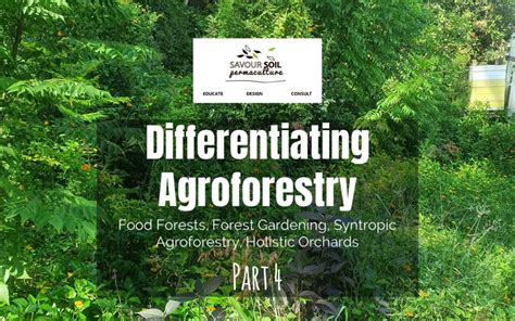 Food Forest: A Syntropic Agroforestry Permaculture … - raincitystudios.com