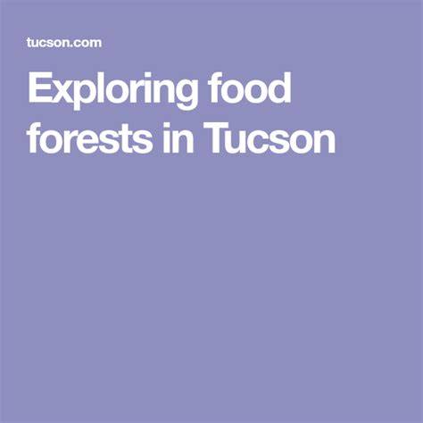 Food Forests: Growing Edibles from Soil to Treetops - raincitystudios.com
