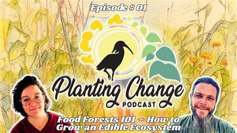 Food Forests 101 - Daily Acts - raincitystudios.com