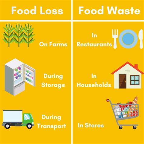 Food Loss, Food Waste, and Sustainability in Food Supply Chains ... - raincitystudios.com
