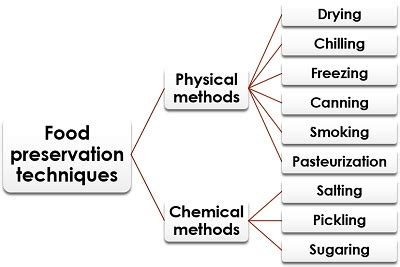 Food Preservation Methods Comparison - balustradellc