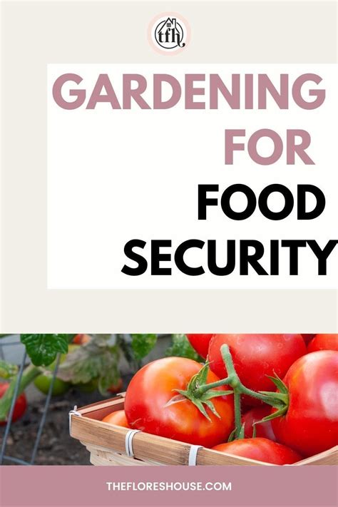 Food Security: How to Start Your Survival Garden - balustradellc