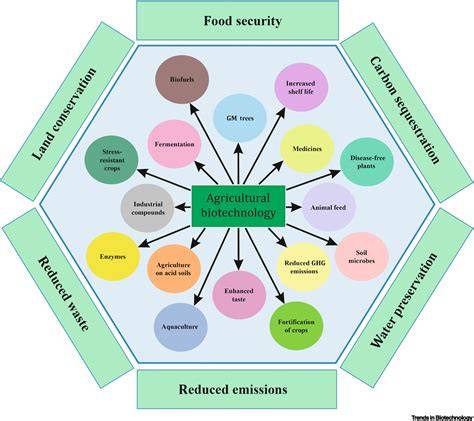 Food Security and Nutrition: Sustainable Agricultural Practices for ... - raincitystudios.com