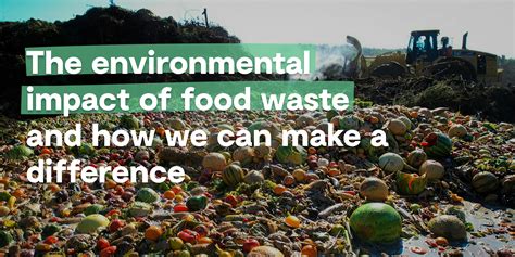 Food waste: environmental impact and possible … - raincitystudios.com