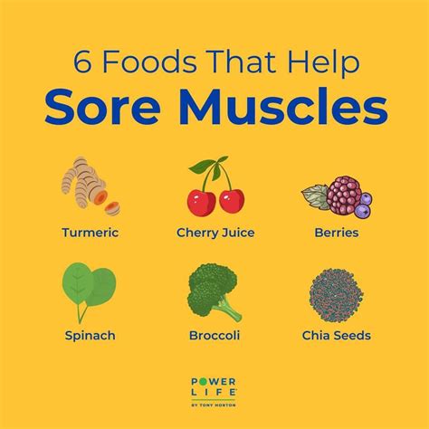 Foods for Sore Muscles (and Which Ones Make It … - balustradellc