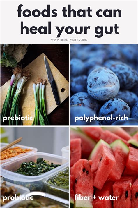 Foods That Heal Your Gut - balustradellc