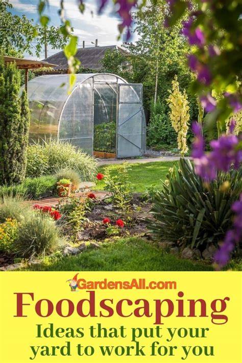 Foodscaping Ideas to Put Your Yard to Work for You … - raincitystudios.com