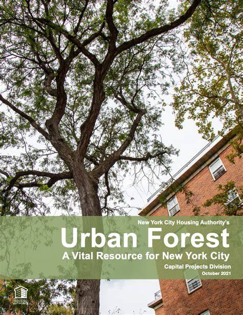 for a resilient urban forest - GOV.UK - raincitystudios.com