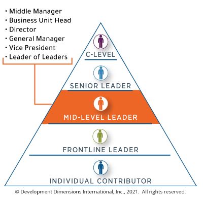 For Senior-level Leaders - Global Leadership Forum - balustradellc