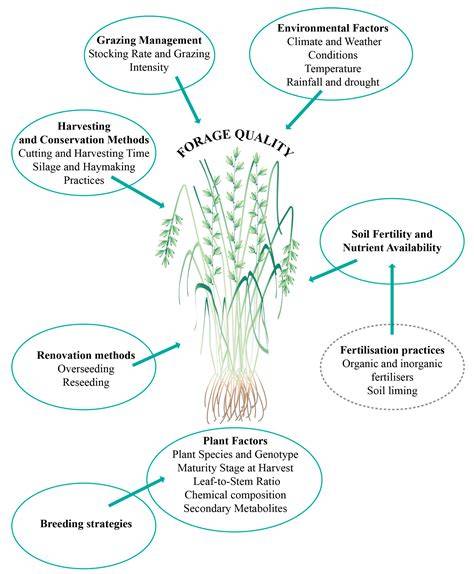 Forage Quality in Perspective - Penn State Extension - raincitystudios.com