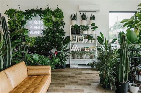 forage-plants - Agent Skill by hogiathang | SkillsMP - muktibox.com