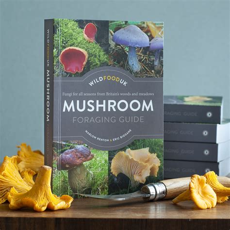 Foraging Mushrooms: A Step-by-Step Identification Guide - Live to Plant - balustradellc