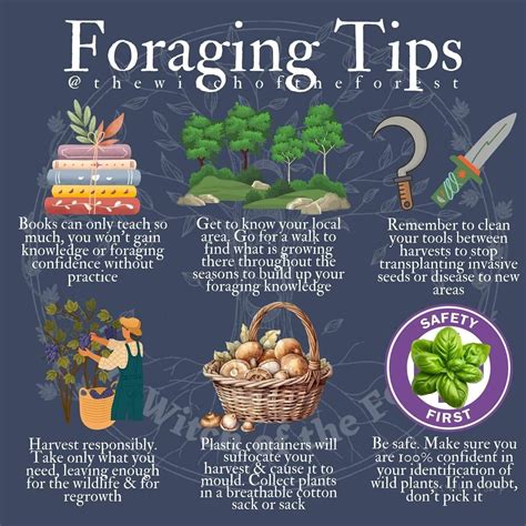 Foraging Tips Stock Photos And Images - 123RF - muktibox.com
