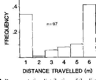 Foraging-efficiency-predation-risk trade-off in the grey squirrel - muktibox.com