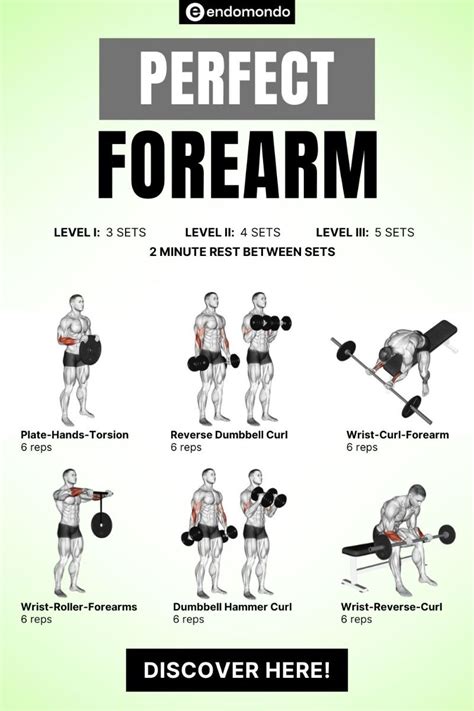 Forearm Workouts: 13 Best Forearm Workouts and … - balustradellc