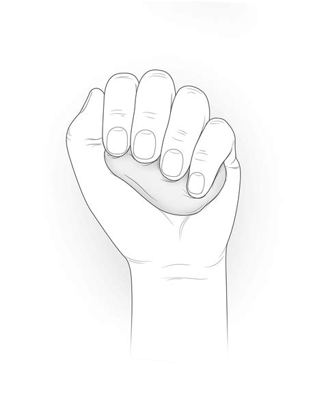 Forearm workouts: Strengthening grip for everyday function - balustradellc