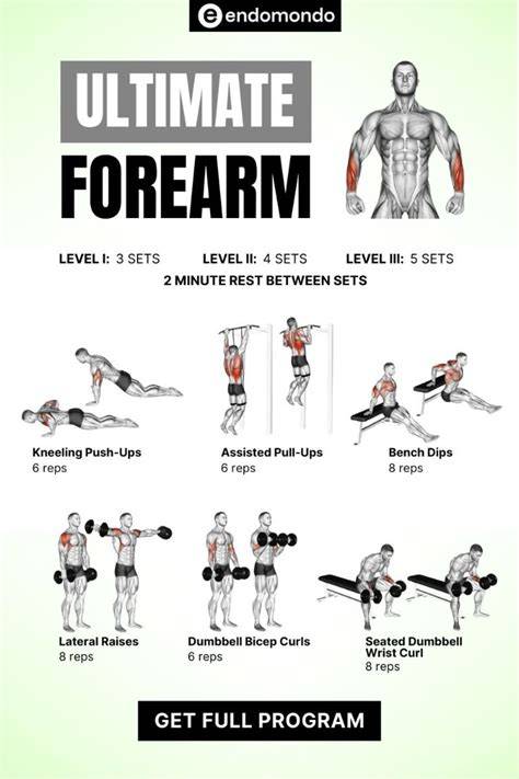 Forearm Workouts - Best Exercises for Muscle And … - balustradellc