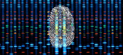 Forensic DNA: Methods, Uses & Significance | Crime … - wintechmobiles.com