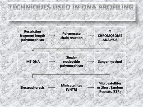 Forensic DNA Profiling | Springer Nature Link - wintechmobiles.com