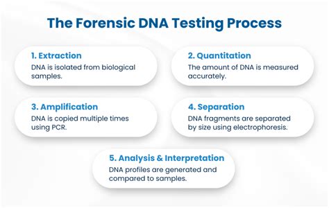 Forensic DNA Profiling and Database - PMC - wintechmobiles.com