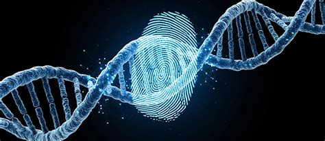 Forensics, DNA Fingerprinting, and CODIS - Nature - wintechmobiles.com